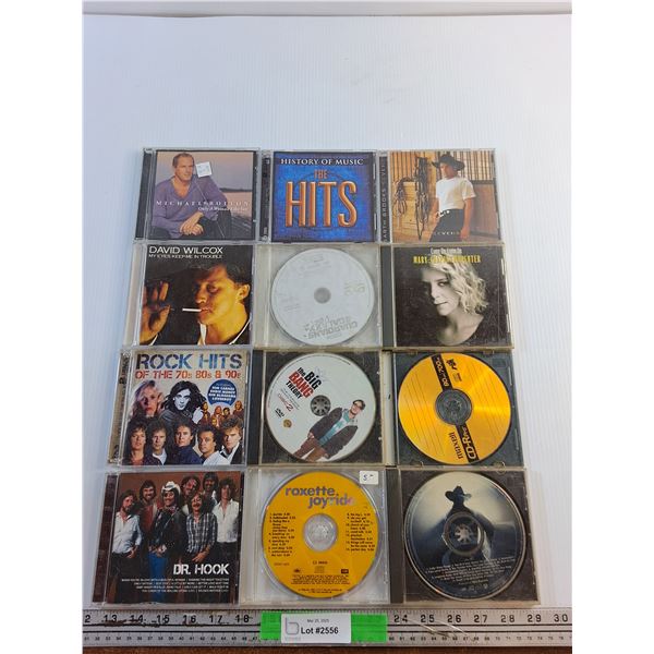 (12) Audio CDs - History of Music the Hits, the Big Bang Theory and David Wilcox