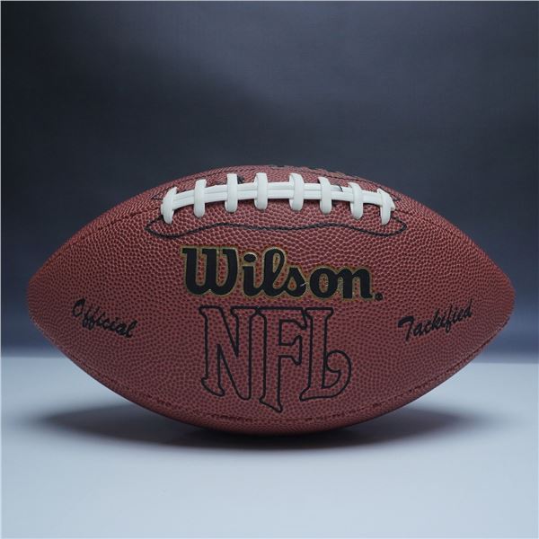 Jerry Rice Autographed Wilson NFL Football with Display Case