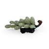 Image 1 : Vintage Jade Grapes