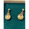 Image 2 : Pair Of Gold Flakes In Clear Case Earrings From El Dorado Gold Mine