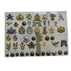 Image 1 : Large Collection Of Assorted Belgium Military Badges
