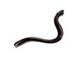 Image 3 : Unique Art Glass Eel