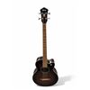 Image 1 : Ibanez Electric Acoustic Guitar Model AEB10EDVS1202 With Stand