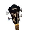 Image 2 : Ibanez Electric Acoustic Guitar Model AEB10EDVS1202 With Stand