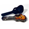 Image 1 : Fender Model FJ-70 Acoustic Guitar With Travelling Hard Case