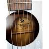 Image 3 : Limited Edition Main Street Guitars The Hemp Leaf Acoustic Guitar