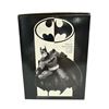 Image 2 : Batman Black & White Statue Hand Painted Cold Cast Porcelain Statue: Designed By Bruce Timm