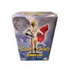 Image 1 : Dc Direct Power Girl Cover Girls Of The DC Universe Porcelain Statue 4979/5000