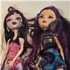 Image 3 : Assorted Monster High Dolls