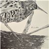 Image 2 : Vintage Framed Original Pencil Sketching Of A Bird By M.Surakka