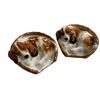 Image 3 : 6 Vintage Royal Doulton Dog Figurines