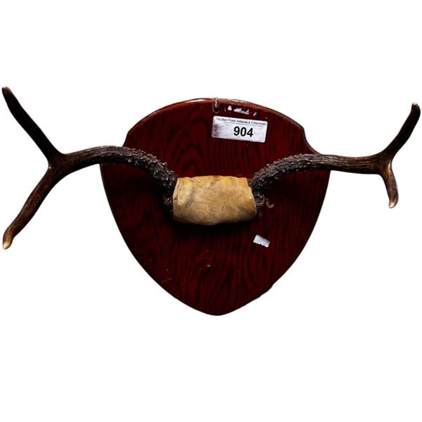 Vintage 2 Point Antler On Plaque