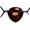 Image 1 : Vintage 2 Point Antler On Plaque