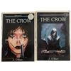 Image 1 : 2 The Crow Comic Books: First Issue & 2nd