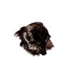 Image 1 : Vintage Wolverine Hat