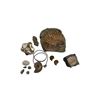 Image 1 : Assorted Fossils & Petrified Wood