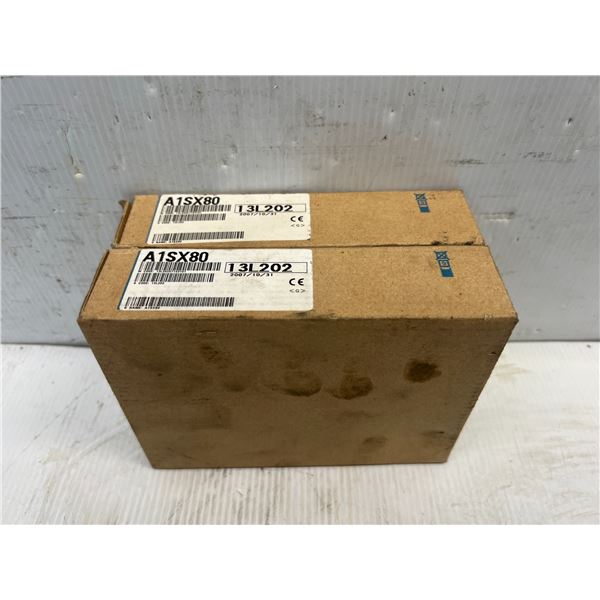 (2) Mitsubishi #A1SX80 Modules