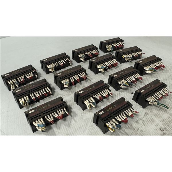 Lot of (14) Mitsubishi #AJ65SBTB2N-8R Output Units