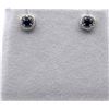 Image 2 : Sterling Silver Natural Blue Sapphire (0.66ct) and Natural Diamond (0.01ct) Earring, W/A $600.00. Sa