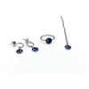 Image 1 : Sterling Silver Enamel set of Ring, Necklace and Earring, W/A $400.00.