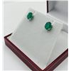 Image 1 : Sterling Silver Natural Green Onyx (3.50ct) Earring, W/A $500.00.