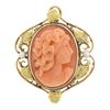 Antique Art Nouveau 10k Gold Carved Coral Cameo w/ Leaf Frame Pin Brooch Pendant