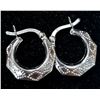 Image 1 : SMALL HOOP EARRINGS