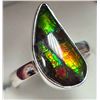 Image 1 : SILVER CANADIAN AMMOLITE RING
