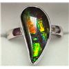 Image 2 : SILVER CANADIAN AMMOLITE RING
