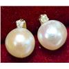 Image 1 : 14K PEARL AND DIAMOND 0.02CT EARRINGS