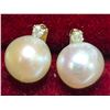 Image 2 : 14K PEARL AND DIAMOND 0.02CT EARRINGS