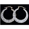Image 1 : 10K 1.21G CRYSTAL HOOP EARRINGS