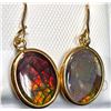 Image 2 : 14K CANADIAN AMMOLITE EARRINGS