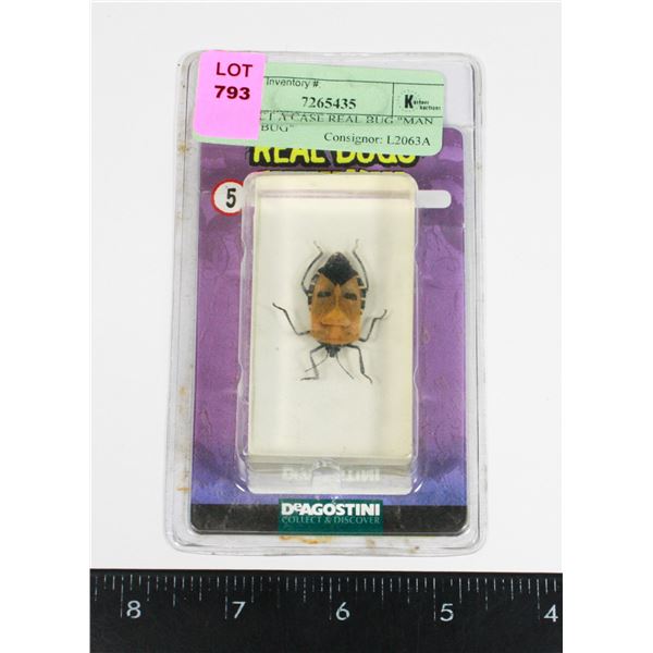 COLLECT A CASE REAL BUG "MAN FACED BUG"