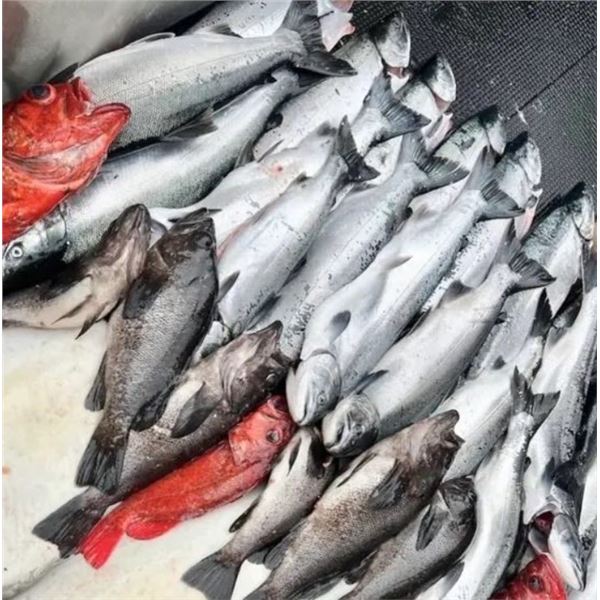 4-Night & 3-Day All-Inclusive Alaskan Fishing Adventure for 2 in 2025