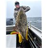 Image 8 : 4-Night & 3-Day All-Inclusive Alaskan Fishing Adventure for 6 in 2025 ( Private Boat)