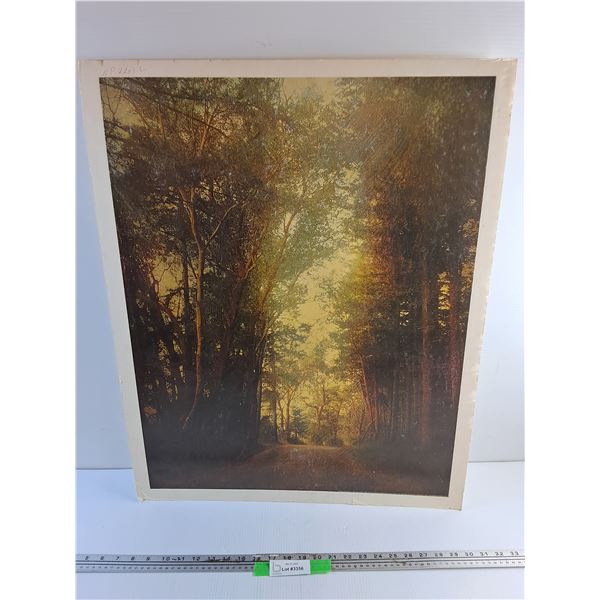 Forest Art Print