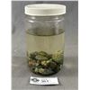 Image 1 : Unsearched Emerald Ore In Jar