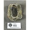 Image 1 : Trilobite Fossil Haooardops Devonian Moroco 3"