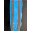 Image 2 : Blue Hard Plastic Skateboard w/ Roller Derby Union Airflow IV Wheels. Approx. 24" x 6"