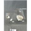 Image 2 : 2 Crystal Displays & Orthoceras Fossil. Retail $250.00 - $300.00 Each