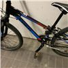 Image 2 : BLACK BLUE AND RED TREK BIKE