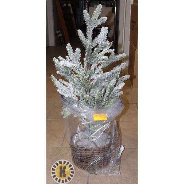 POTTED PINE CHRISTMAS TREE (AROUND 29")