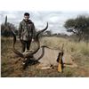 Image 3 : 10-Day Kudu Hunt for One Hunter and One Non-Hunter in South Africa