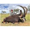 Image 9 : 7-Day 2x1 Plains Game Safari for Two Hunters with $1,500 Trophy Credit Per Hunter