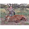 Image 2 : 6-Night/5 1/2 Day Red Stag Hunt for Two Hunters in La Pampa, Argentina