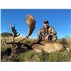 Image 3 : 6-Night/5 1/2 Day Red Stag Hunt for Two Hunters in La Pampa, Argentina