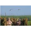 Image 4 : 5-Day, 4-Night Duck Hunt For 2-Hunters