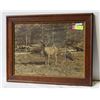 Image 1 : ANTIQUE 20X24 OAK FRAME "BUCK IN THE