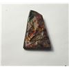 Image 1 : 21)  MULTI COLORED FIRE NATURAL 44 CT AMMOLITE